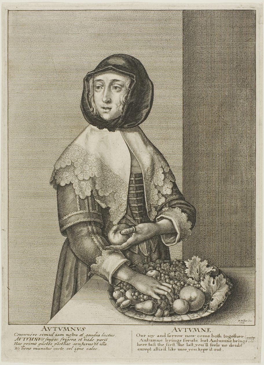  द्वारा Wenceslaus Hollar