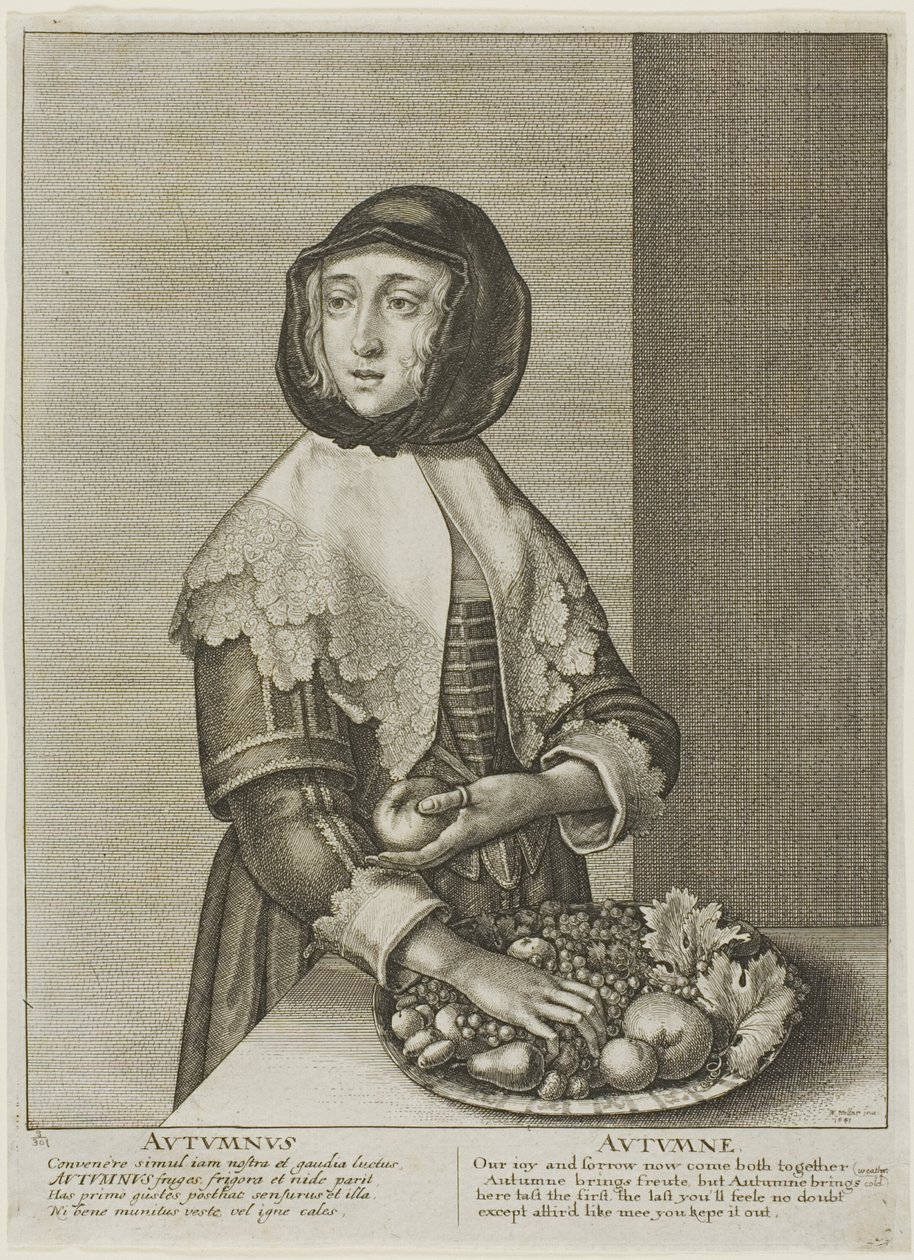  द्वारा Wenceslaus Hollar