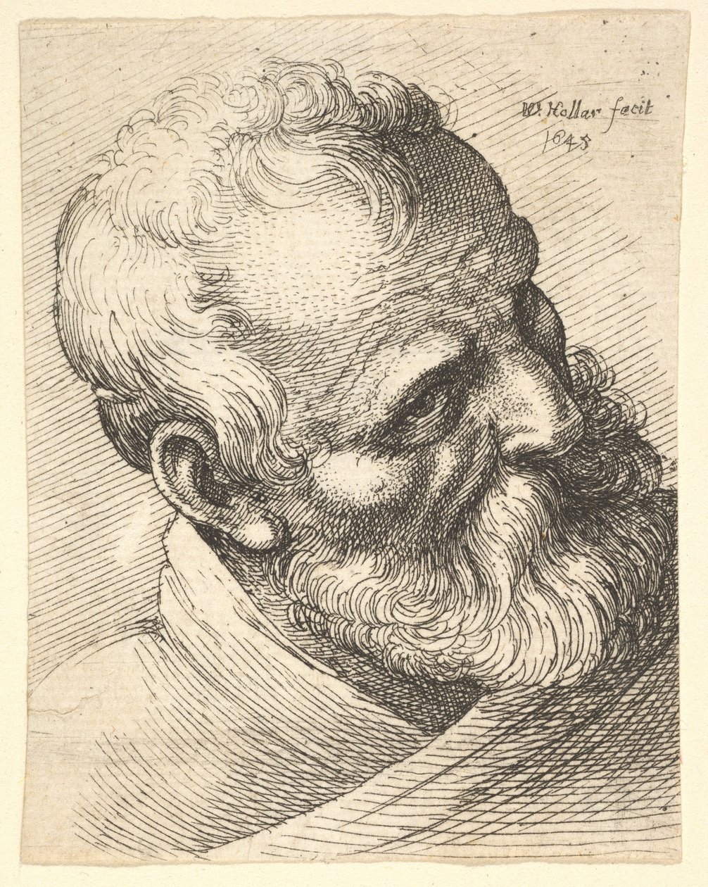 झुका हुआ सिर वाला बूढ़ा, 1645। द्वारा Wenceslaus Hollar