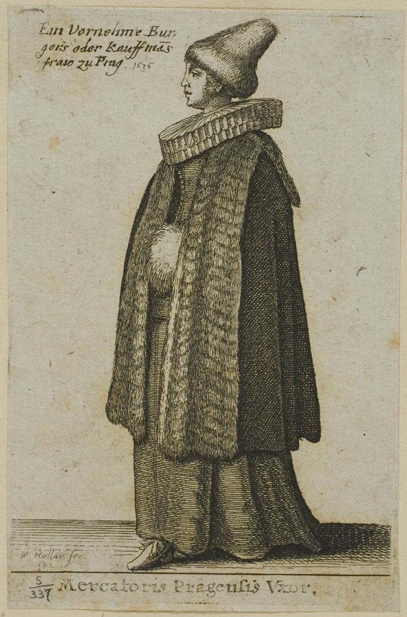  द्वारा Wenceslaus Hollar