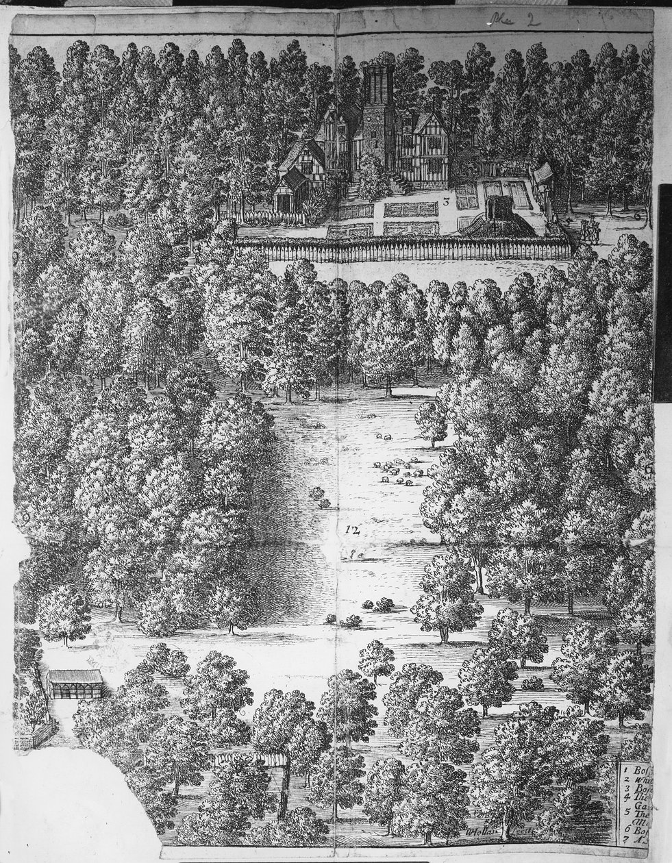 बोस्कॉबेल हाउस एंड पार्क, 1651 द्वारा Wenceslaus Hollar