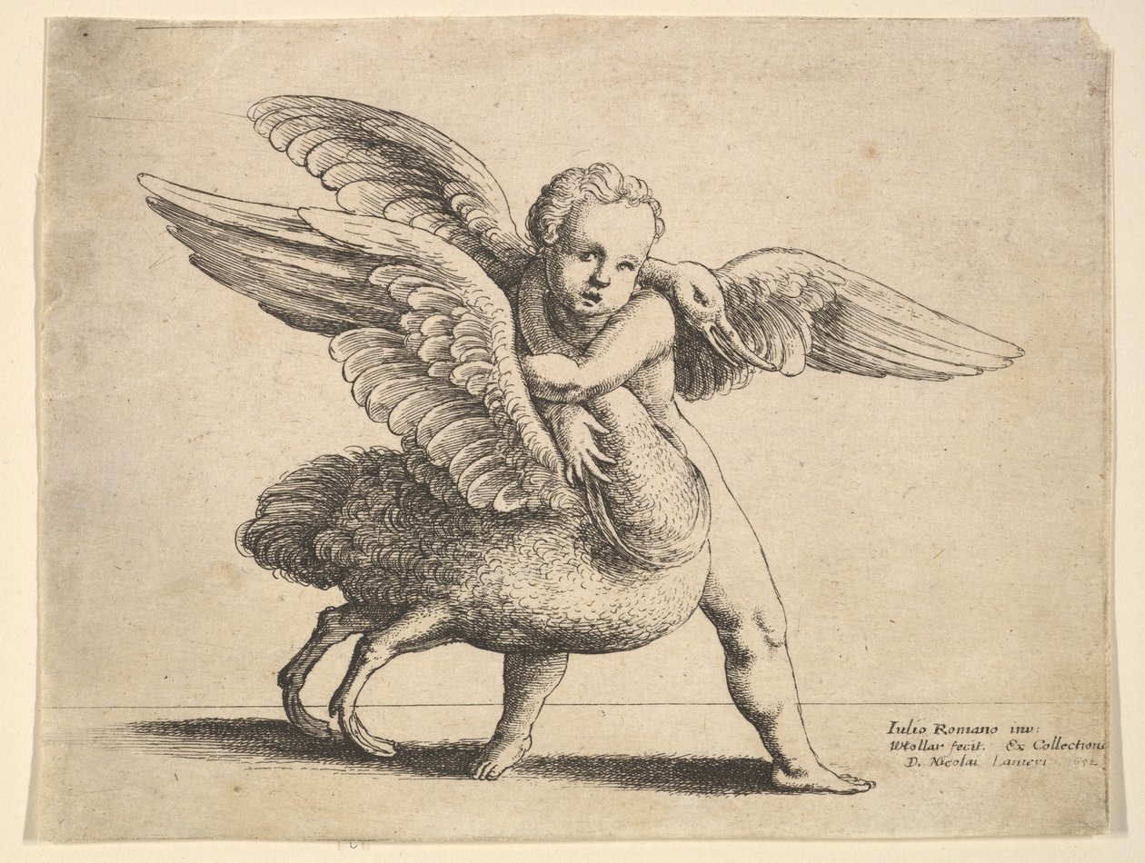 कामदेव और हंस, १६५२ द्वारा Wenceslaus Hollar