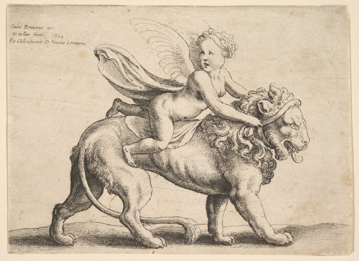 एक शेर पर कामदेव, 1652। द्वारा Wenceslaus Hollar