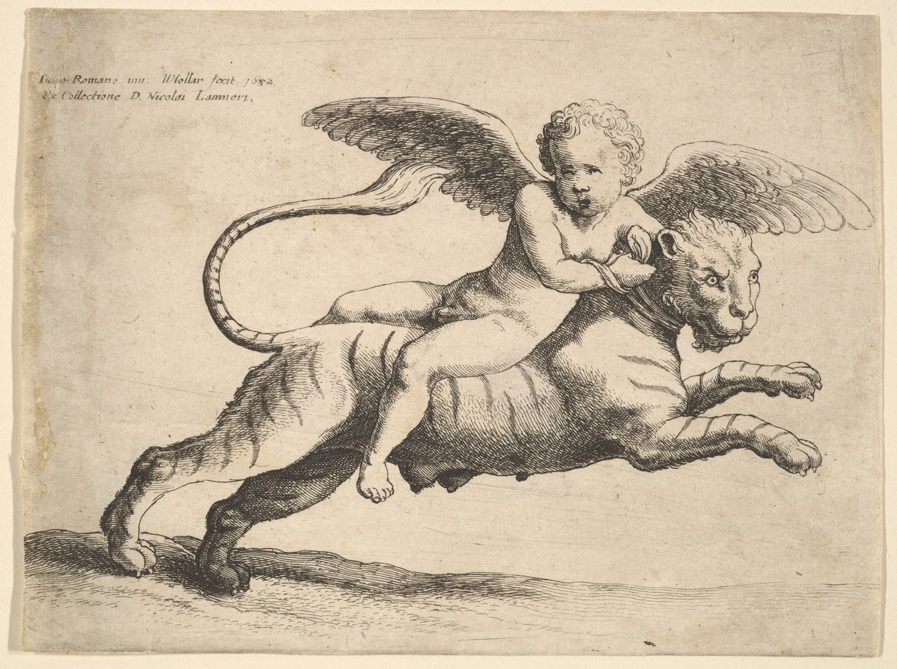 एक बाघ पर कामदेव, 1652। द्वारा Wenceslaus Hollar