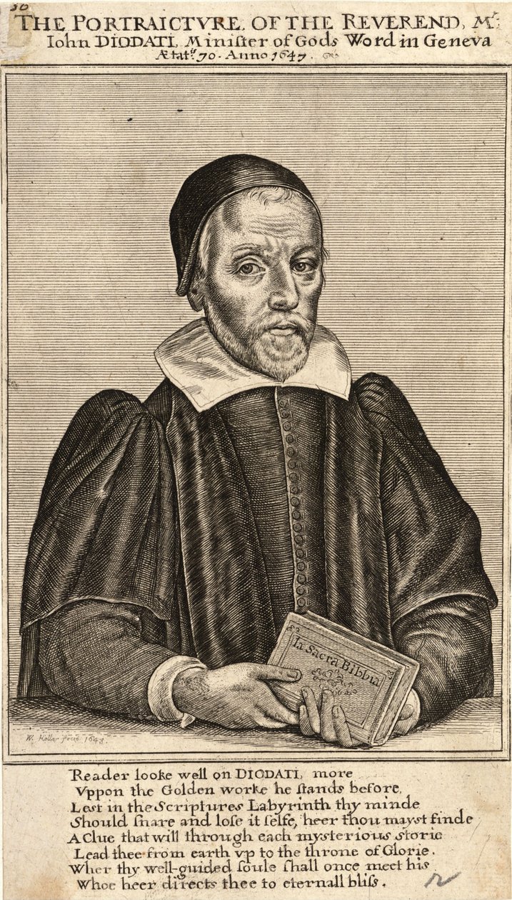 डायोडाटा। राज्य 3 द्वारा Wenceslaus Hollar