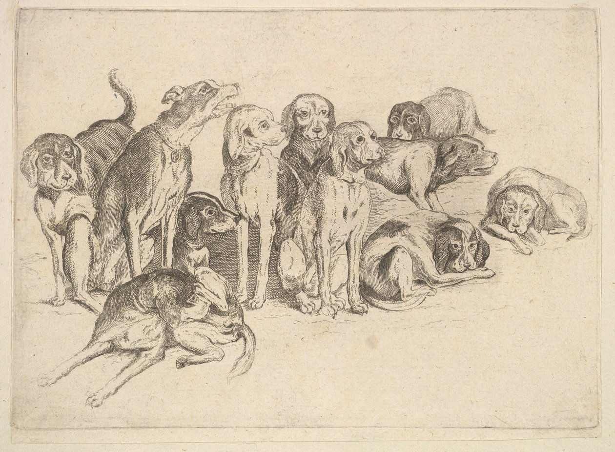 इलेवन हाउंड्स, 1625-77। द्वारा Wenceslaus Hollar