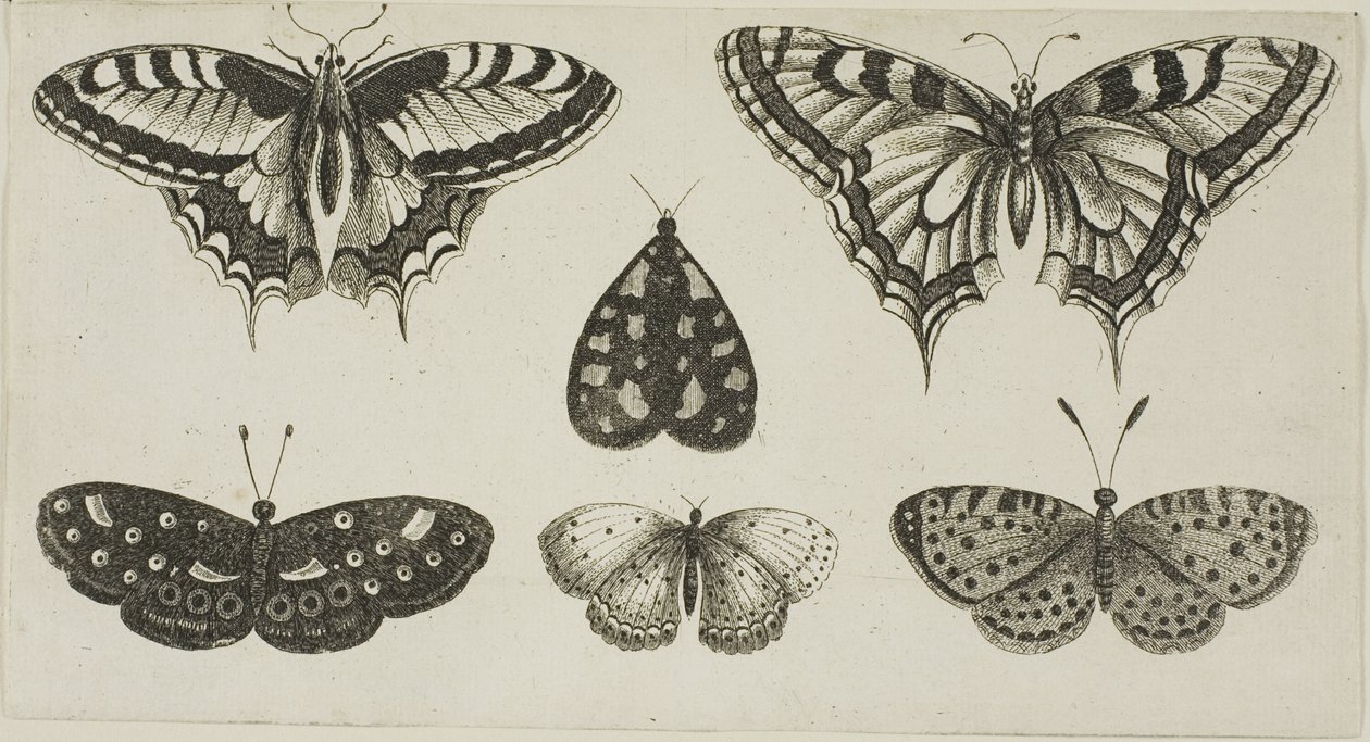  द्वारा Wenceslaus Hollar