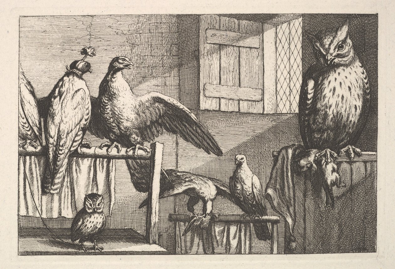 बाज़ और उल्लू, 1625-77। द्वारा Wenceslaus Hollar