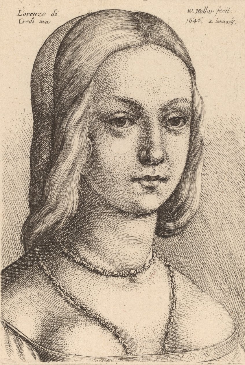 महिला का सिर दाहिनी ओर देख रहा है। द्वारा Wenceslaus Hollar