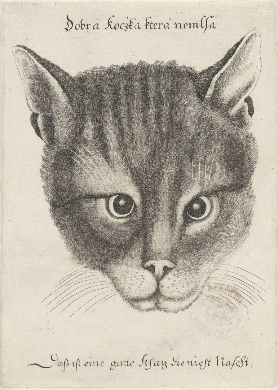  द्वारा Wenceslaus Hollar