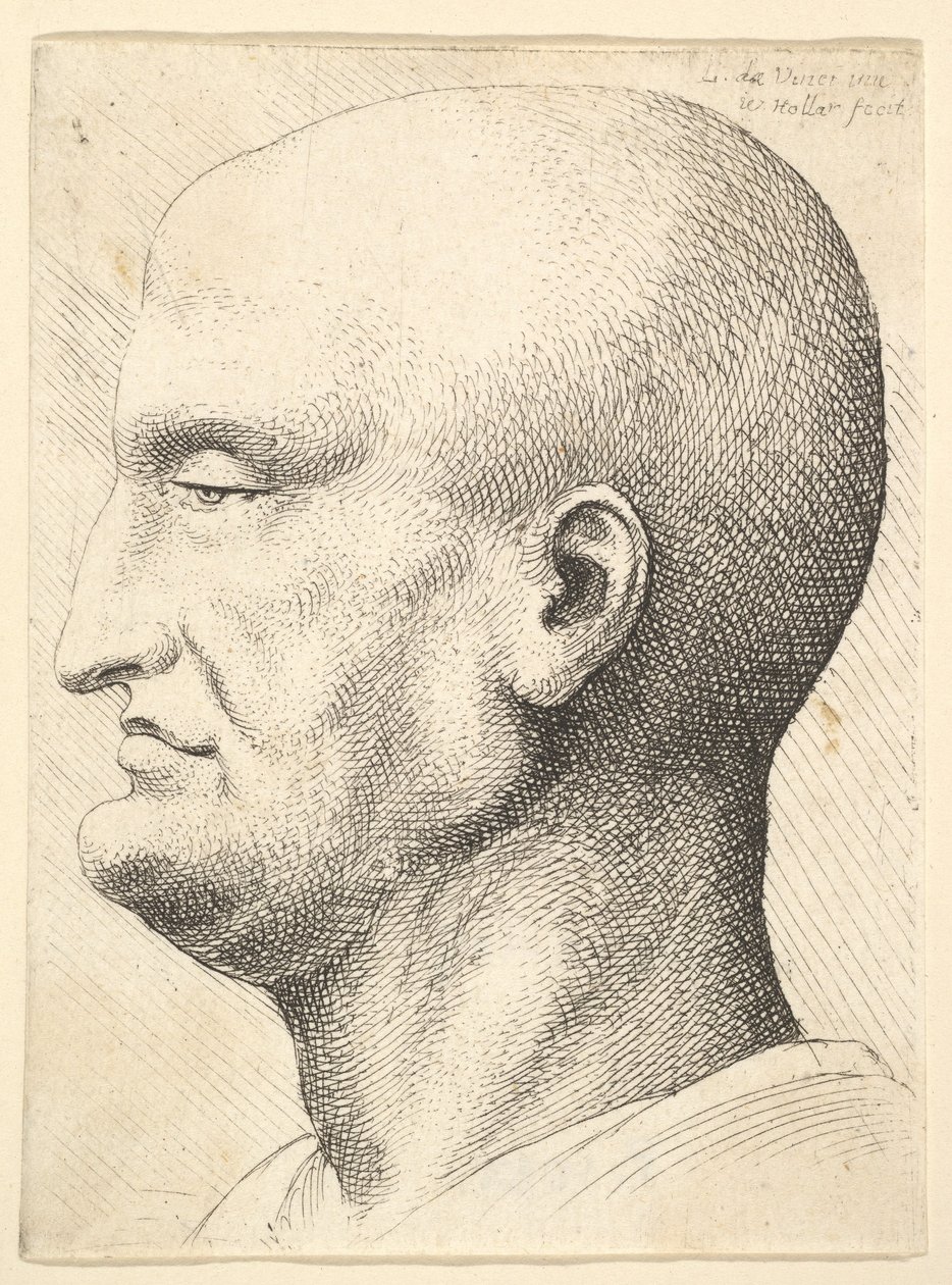 प्रोफ़ाइल में एक गंजा आदमी का सिर बाईं ओर, 1644-52। द्वारा Wenceslaus Hollar