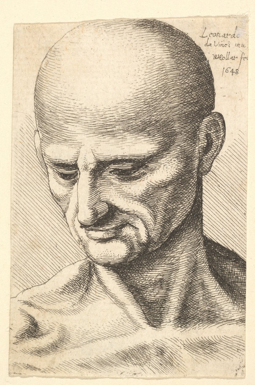 एक गंजे, पापी आदमी का सिर नीचे की ओर देख रहा है, 1648। द्वारा Wenceslaus Hollar