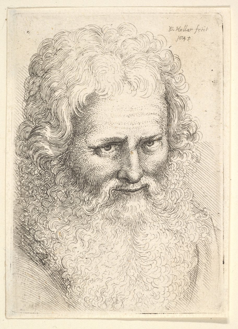 बड़ी दाढ़ी वाले एक बूढ़े व्यक्ति का सिर, 1645। द्वारा Wenceslaus Hollar
