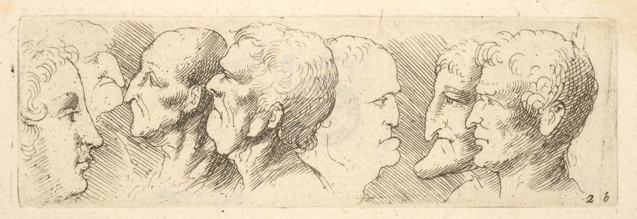 प्रमुख अध्ययन, 1625-77 द्वारा Wenceslaus Hollar