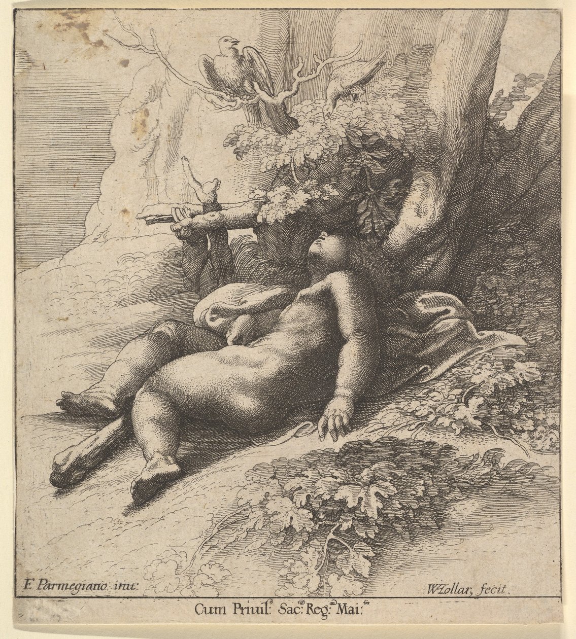 शिशु हरक्यूलिस सोते हुए, 1625-77। द्वारा Wenceslaus Hollar