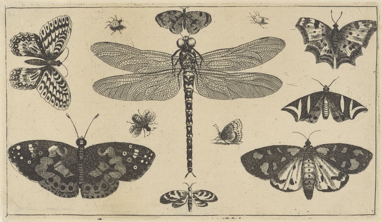  द्वारा Wenceslaus Hollar