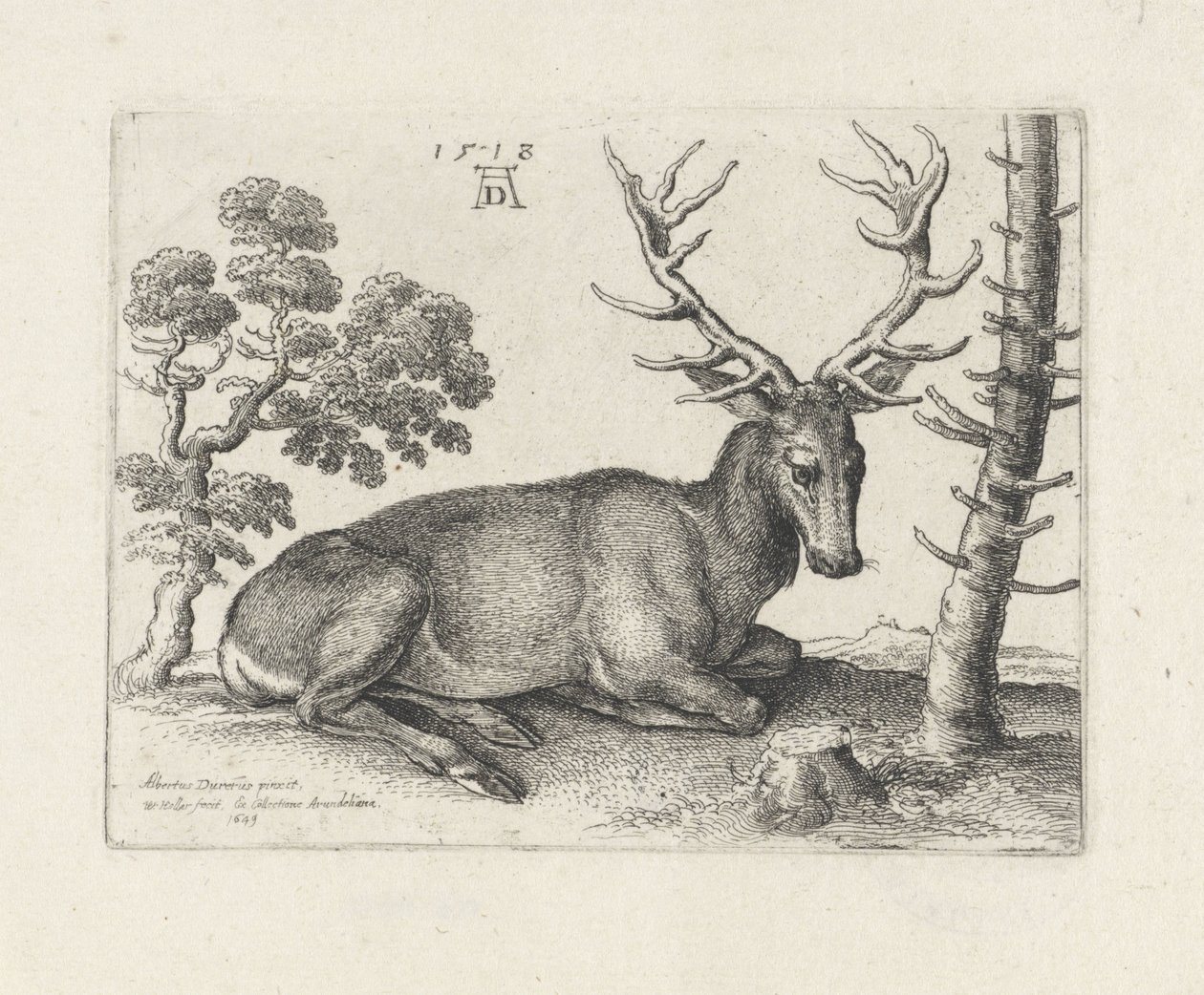  द्वारा Wenceslaus Hollar