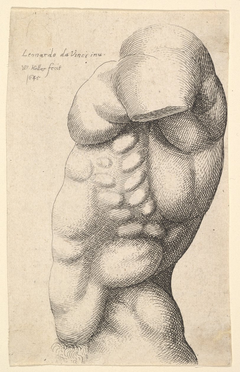 नर धड़ को गर्दन से कूल्हे तक प्रोफ़ाइल में बाएं, 1645 पर। द्वारा Wenceslaus Hollar