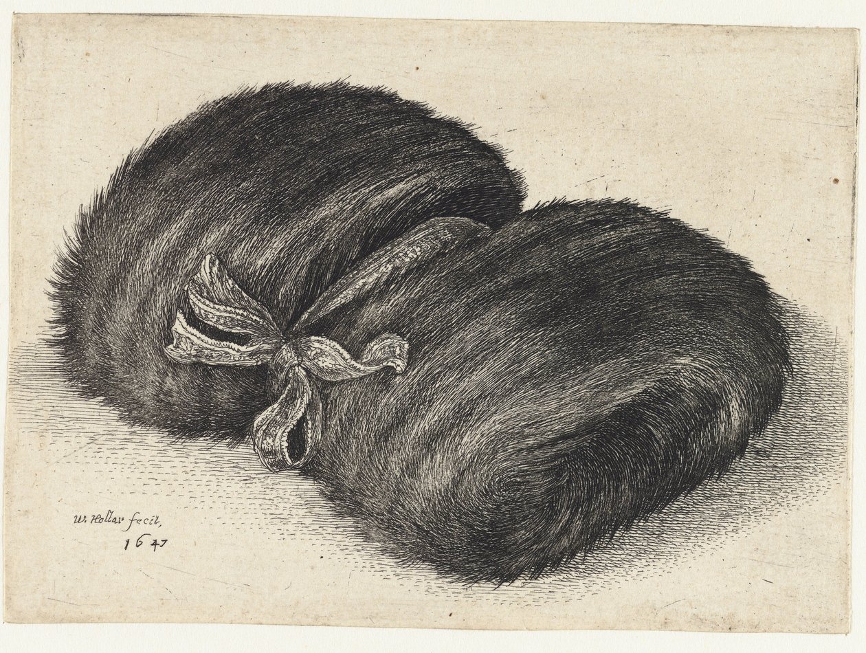  द्वारा Wenceslaus Hollar