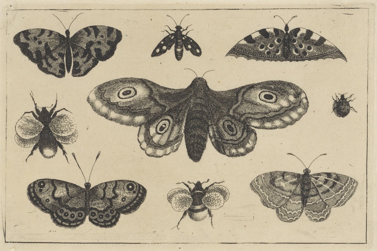  द्वारा Wenceslaus Hollar