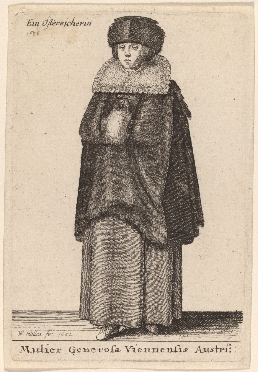 दक्षिणी वियना की उदार महिला द्वारा Wenceslaus Hollar