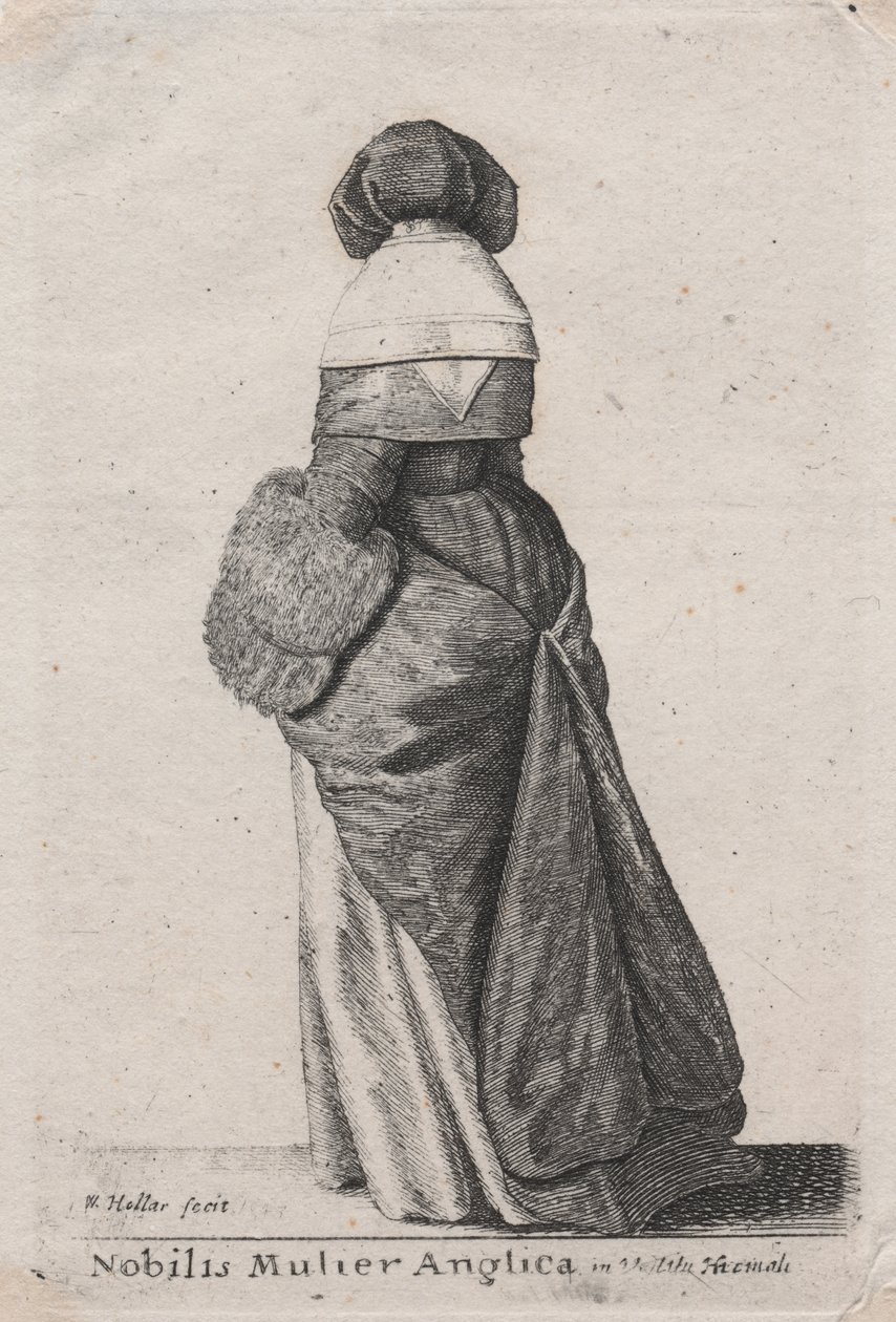  द्वारा Wenceslaus Hollar