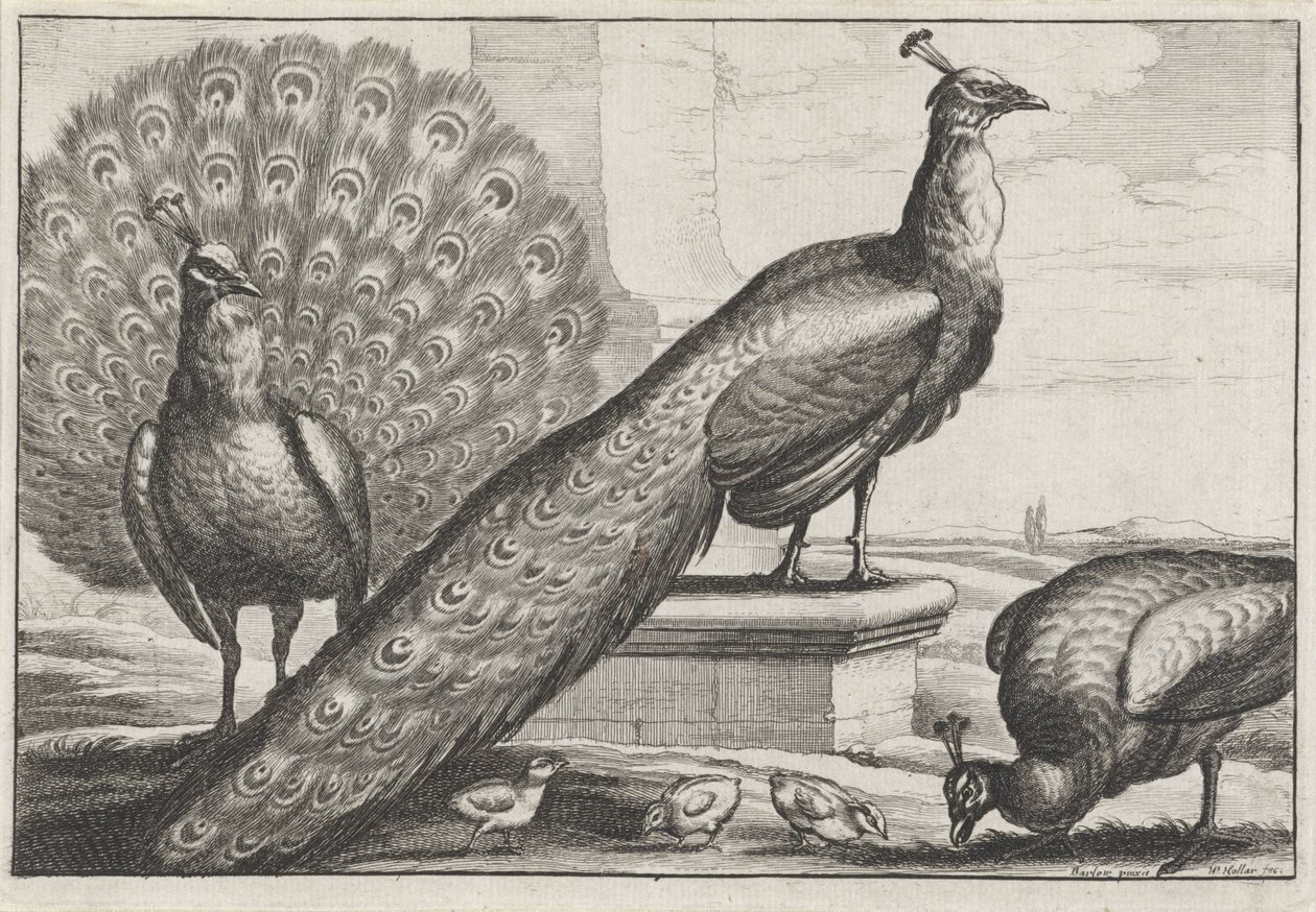  द्वारा Wenceslaus Hollar