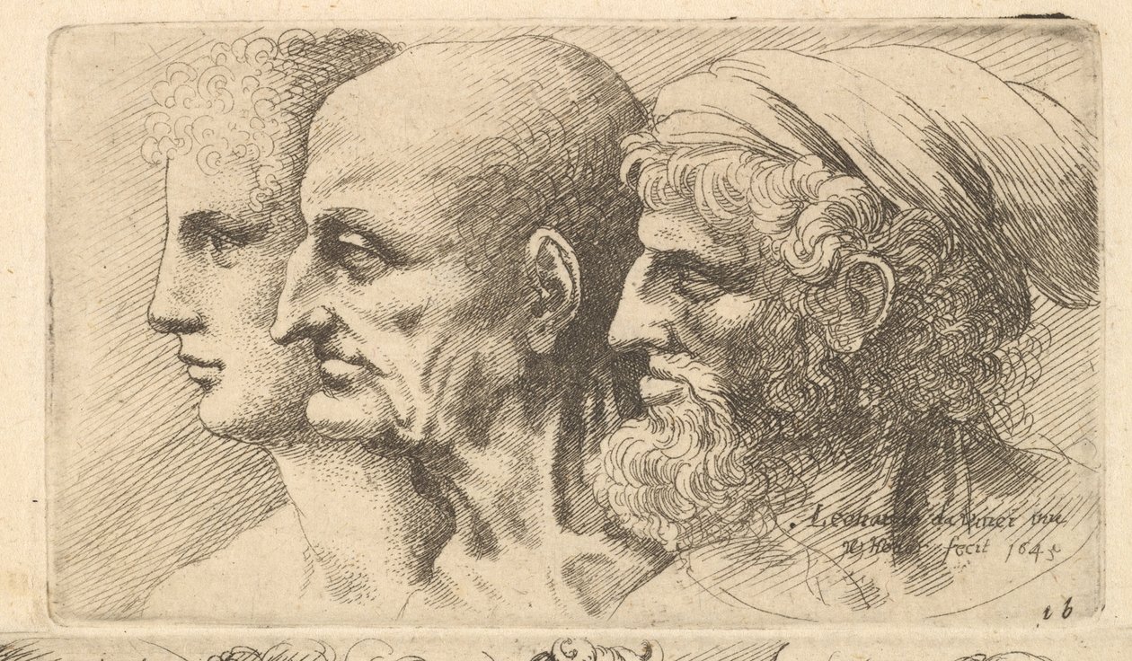बाईं ओर प्रोफ़ाइल के तीन सिर, 1645। द्वारा Wenceslaus Hollar