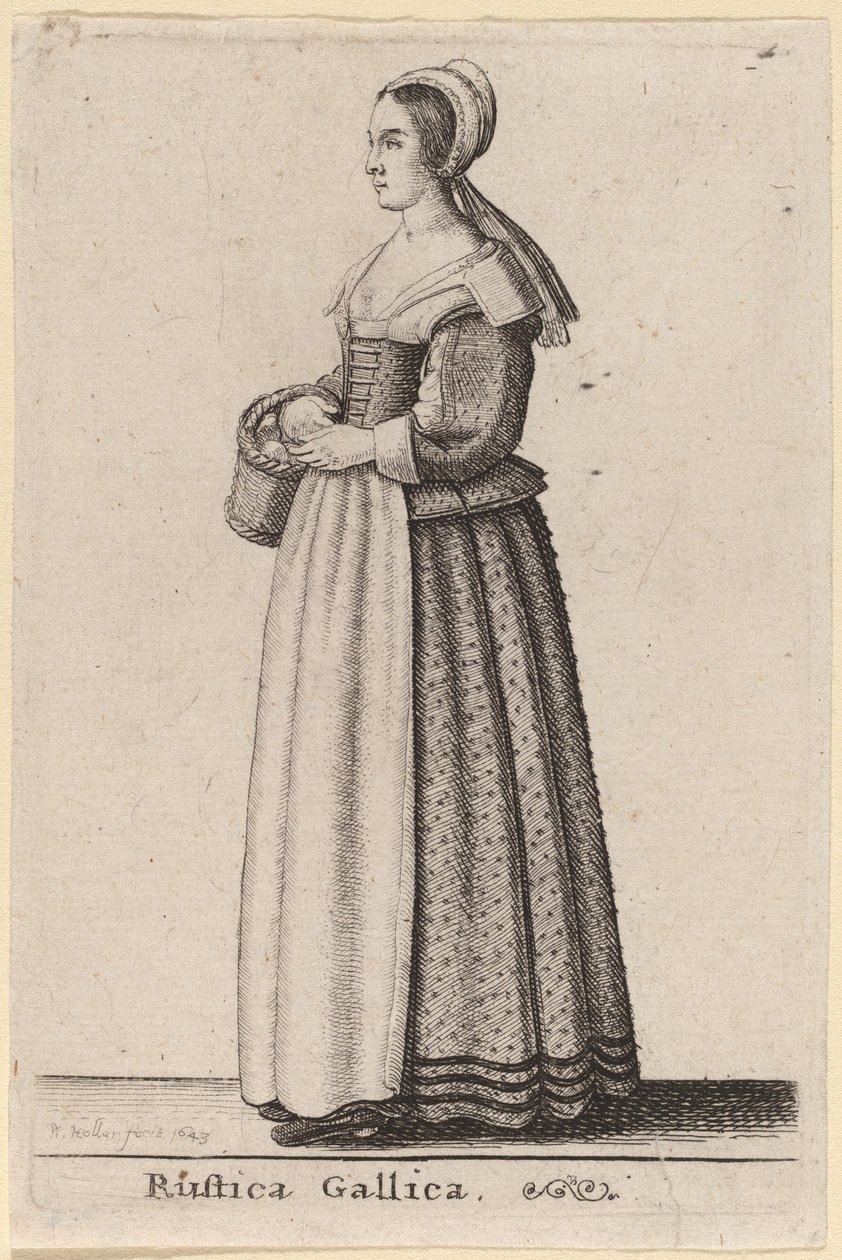 फ़्रेंच देहात द्वारा Wenceslaus Hollar