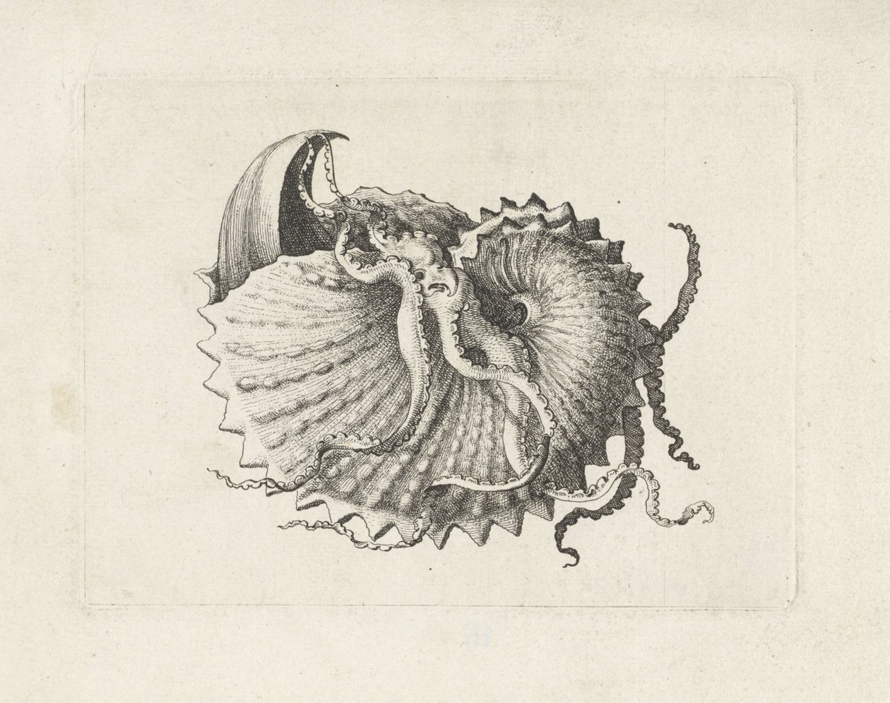  द्वारा Wenceslaus Hollar