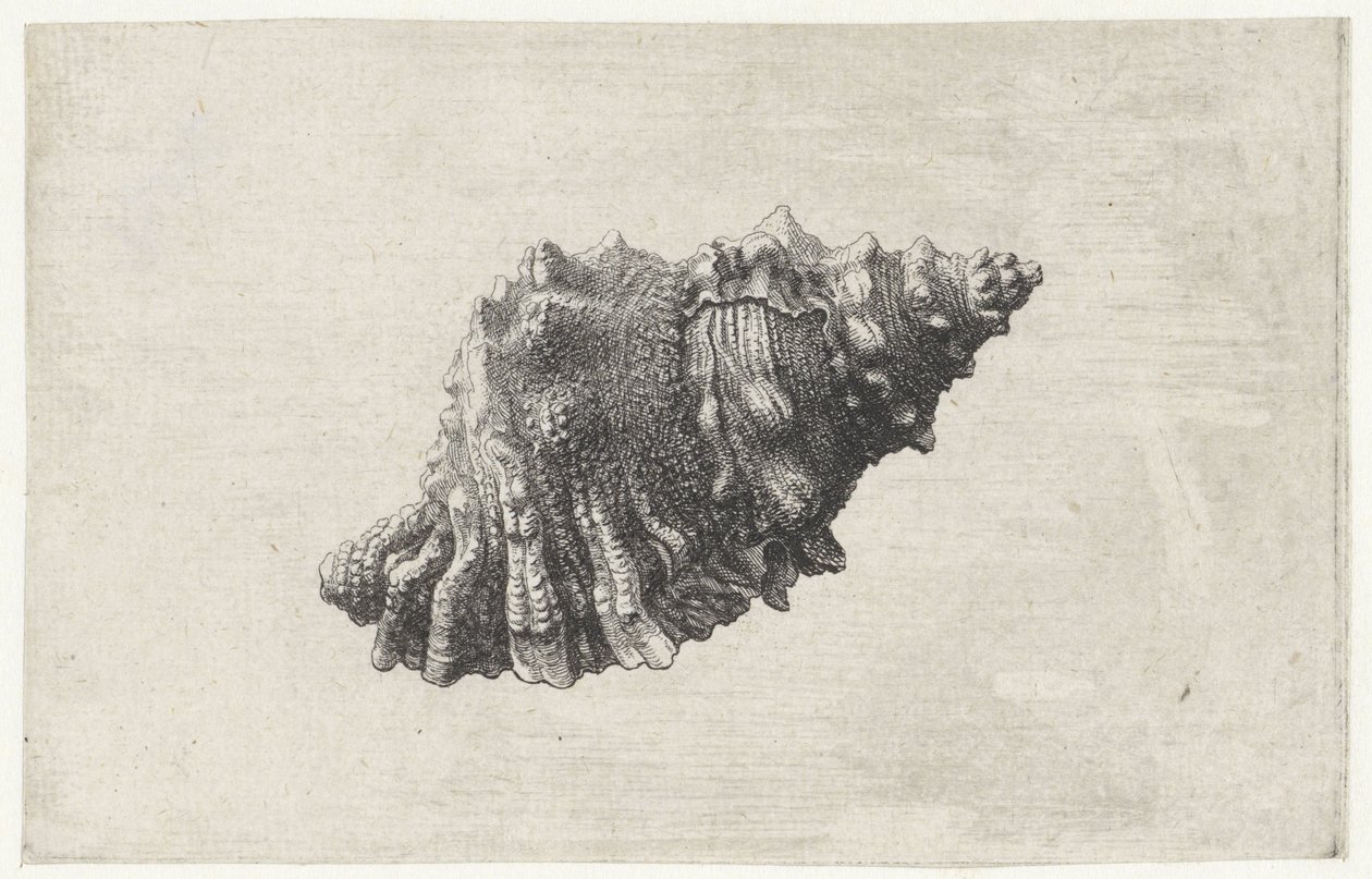  द्वारा Wenceslaus Hollar