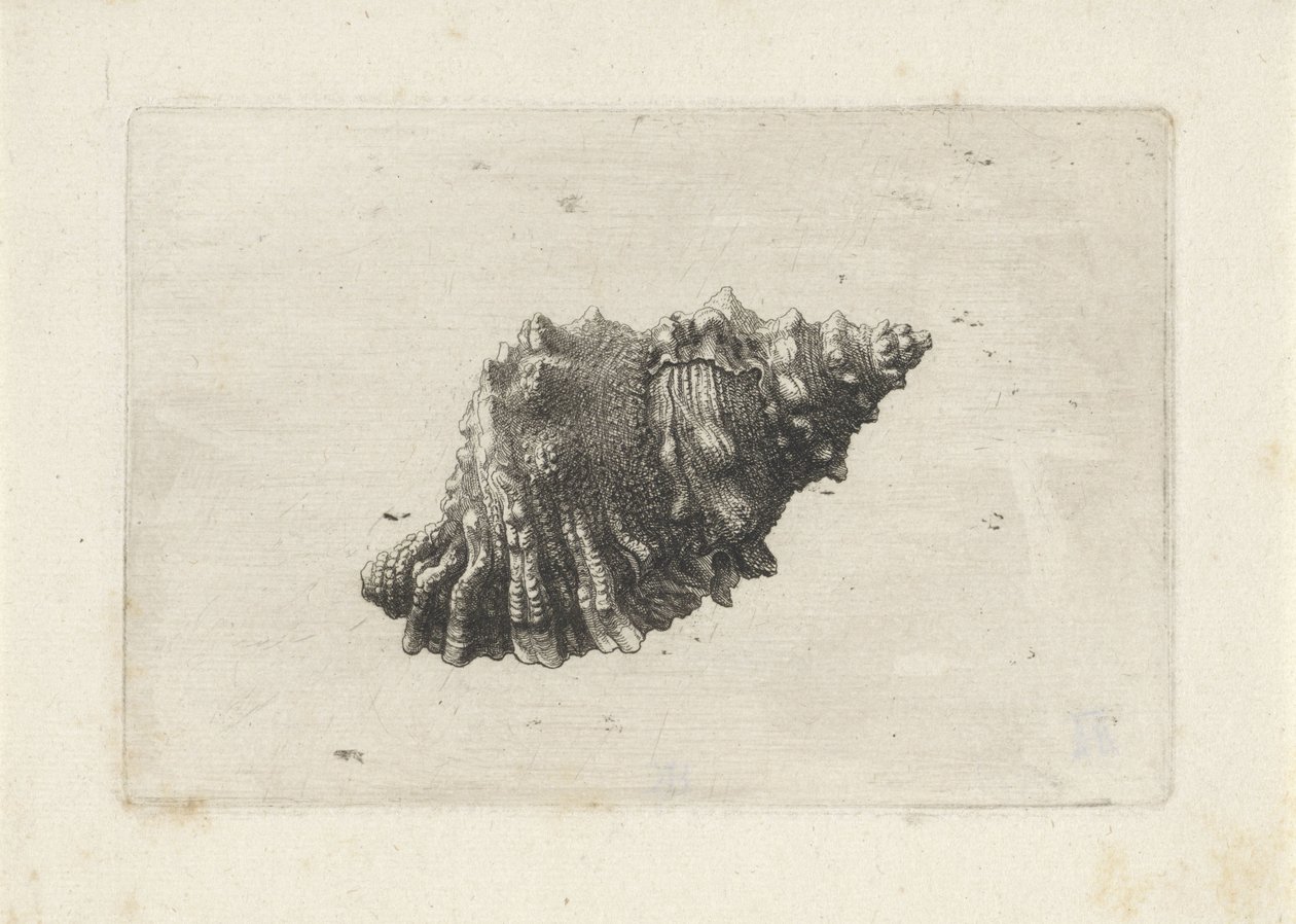  द्वारा Wenceslaus Hollar