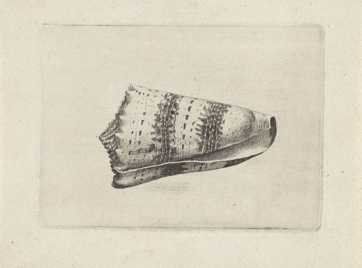 द्वारा Wenceslaus Hollar
