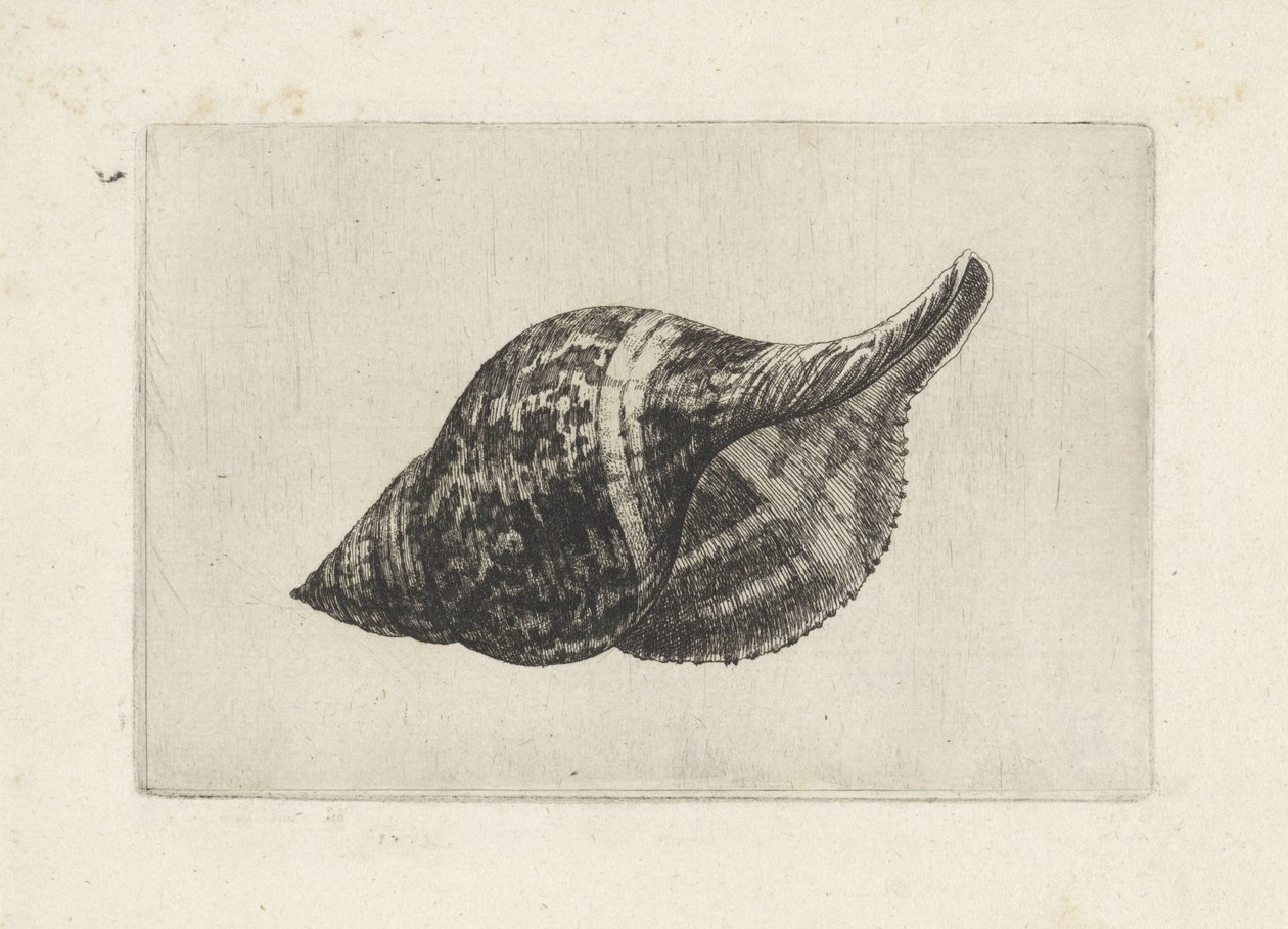 द्वारा Wenceslaus Hollar