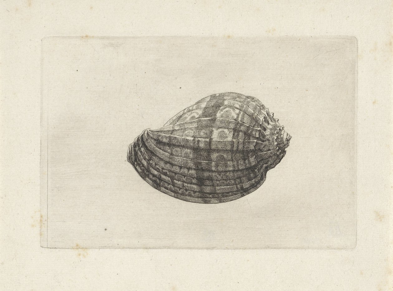  द्वारा Wenceslaus Hollar