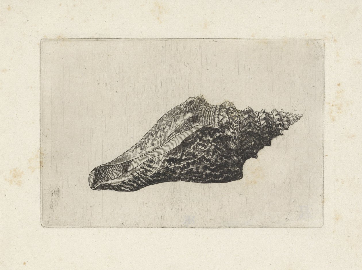  द्वारा Wenceslaus Hollar