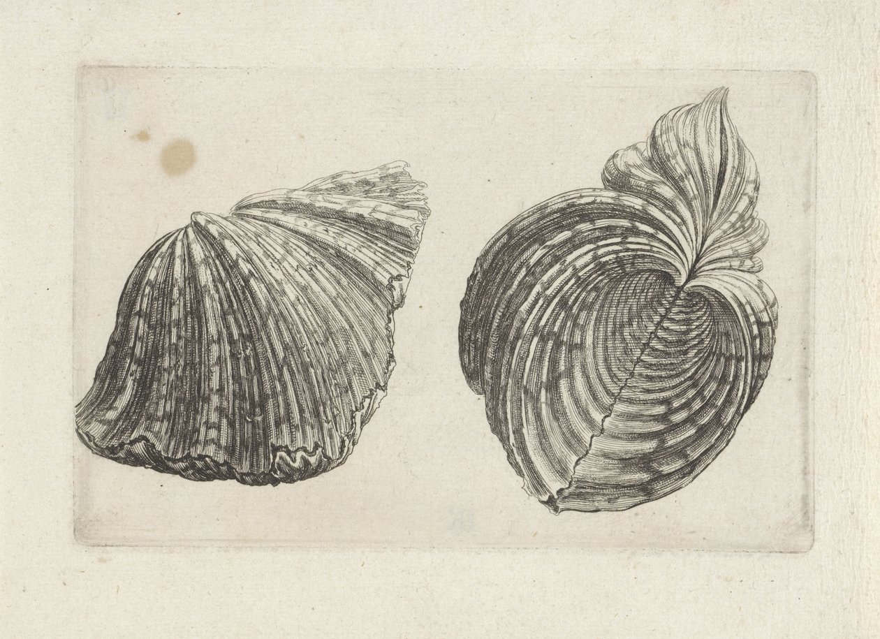  द्वारा Wenceslaus Hollar
