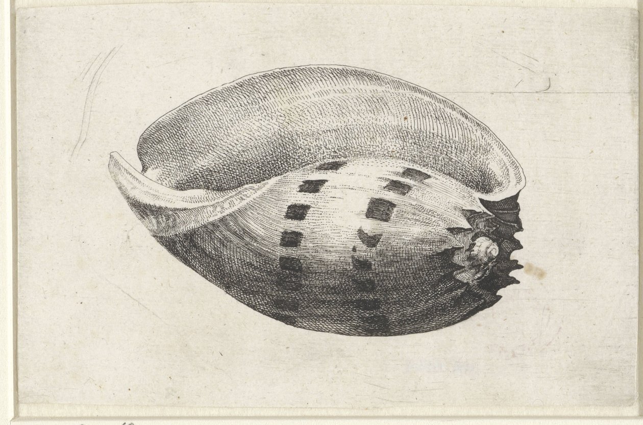  द्वारा Wenceslaus Hollar