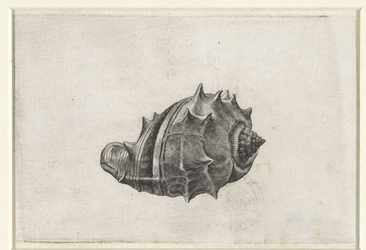  द्वारा Wenceslaus Hollar