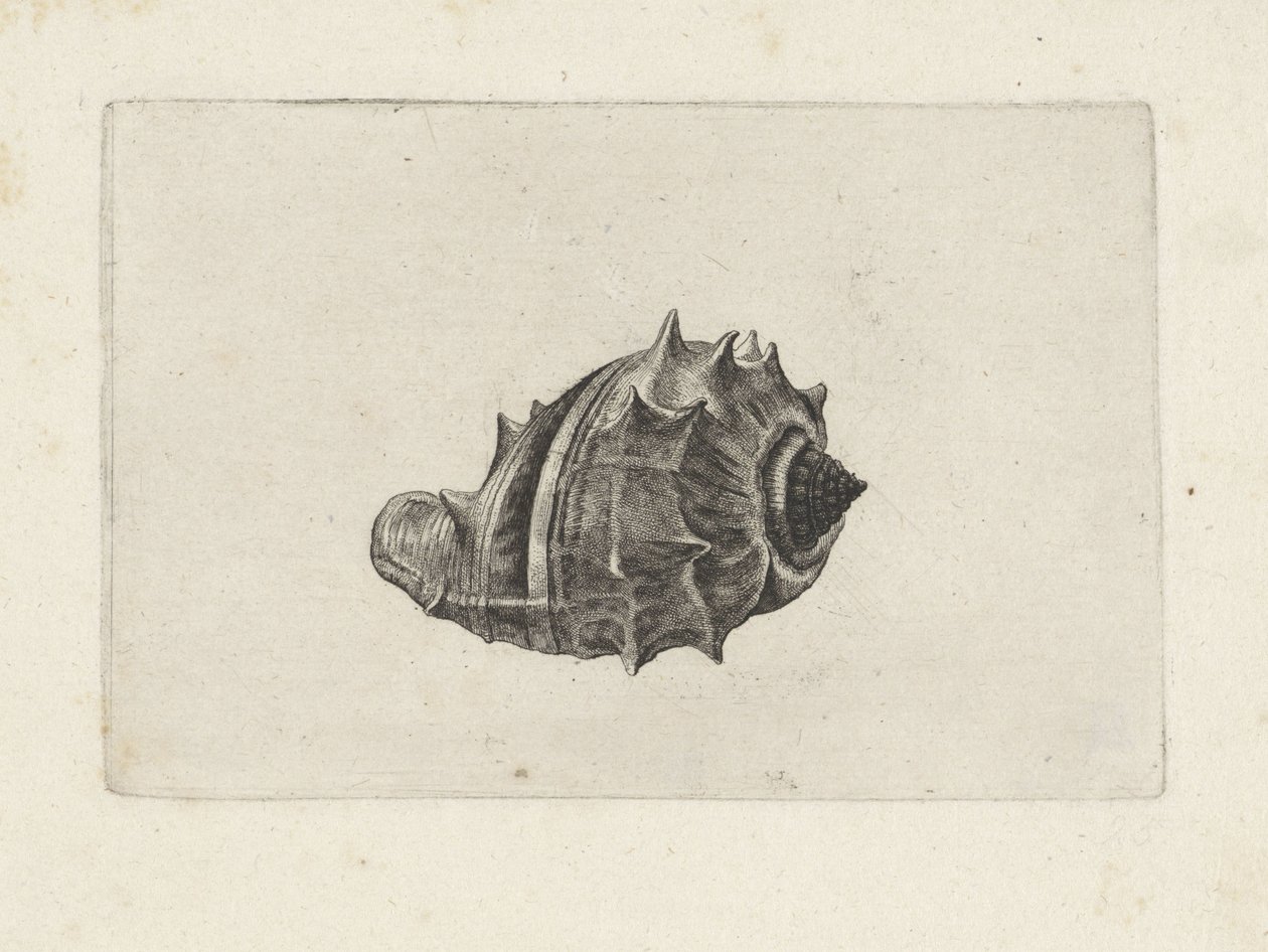  द्वारा Wenceslaus Hollar