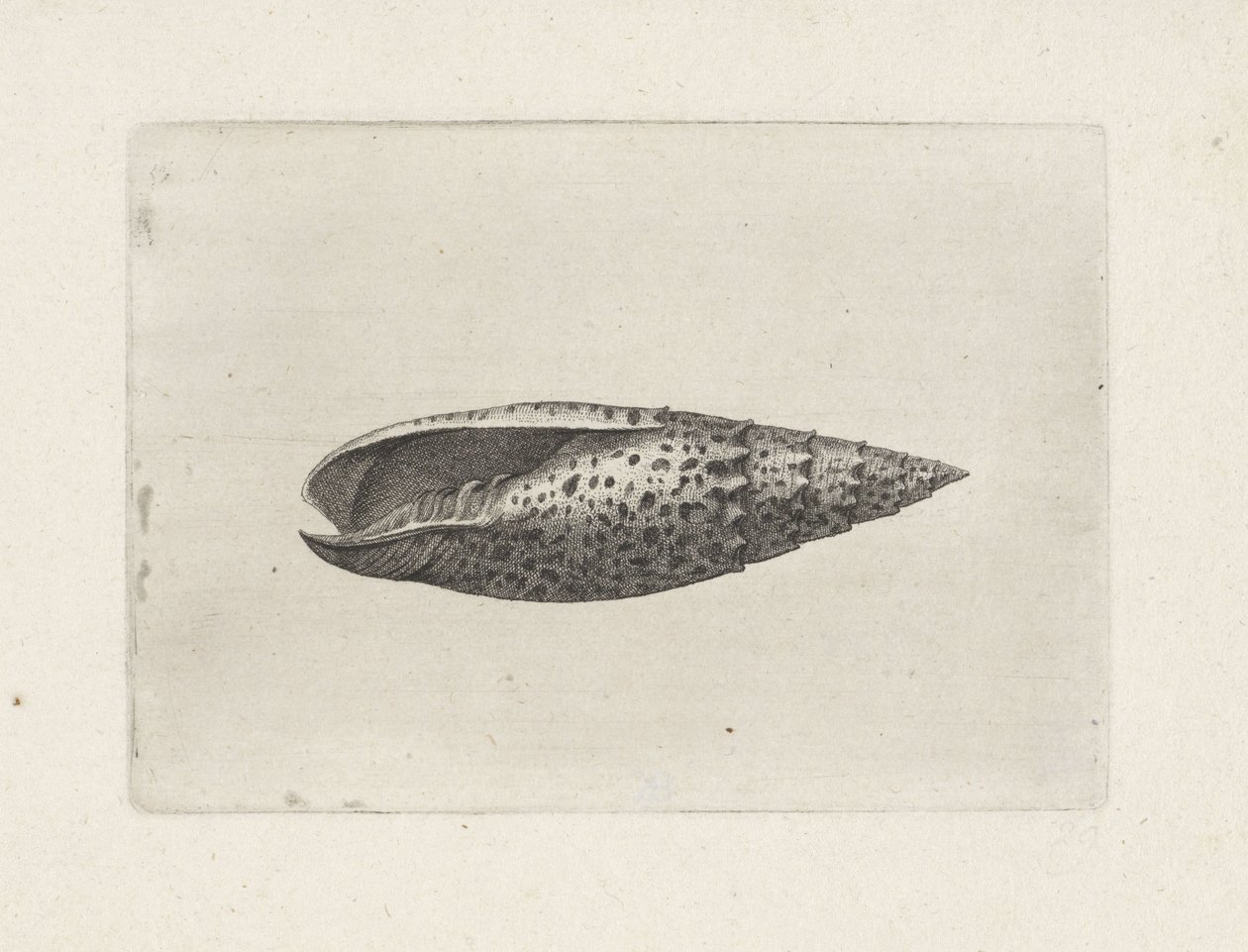  द्वारा Wenceslaus Hollar