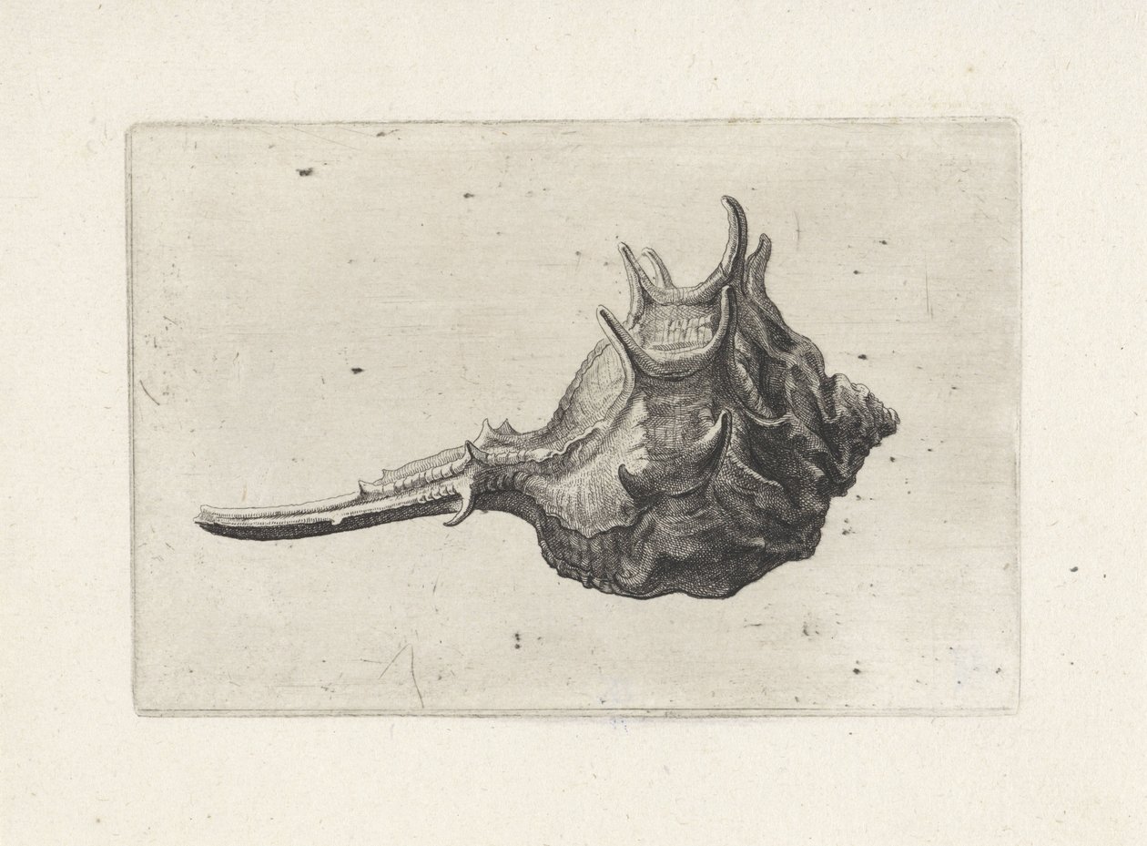  द्वारा Wenceslaus Hollar