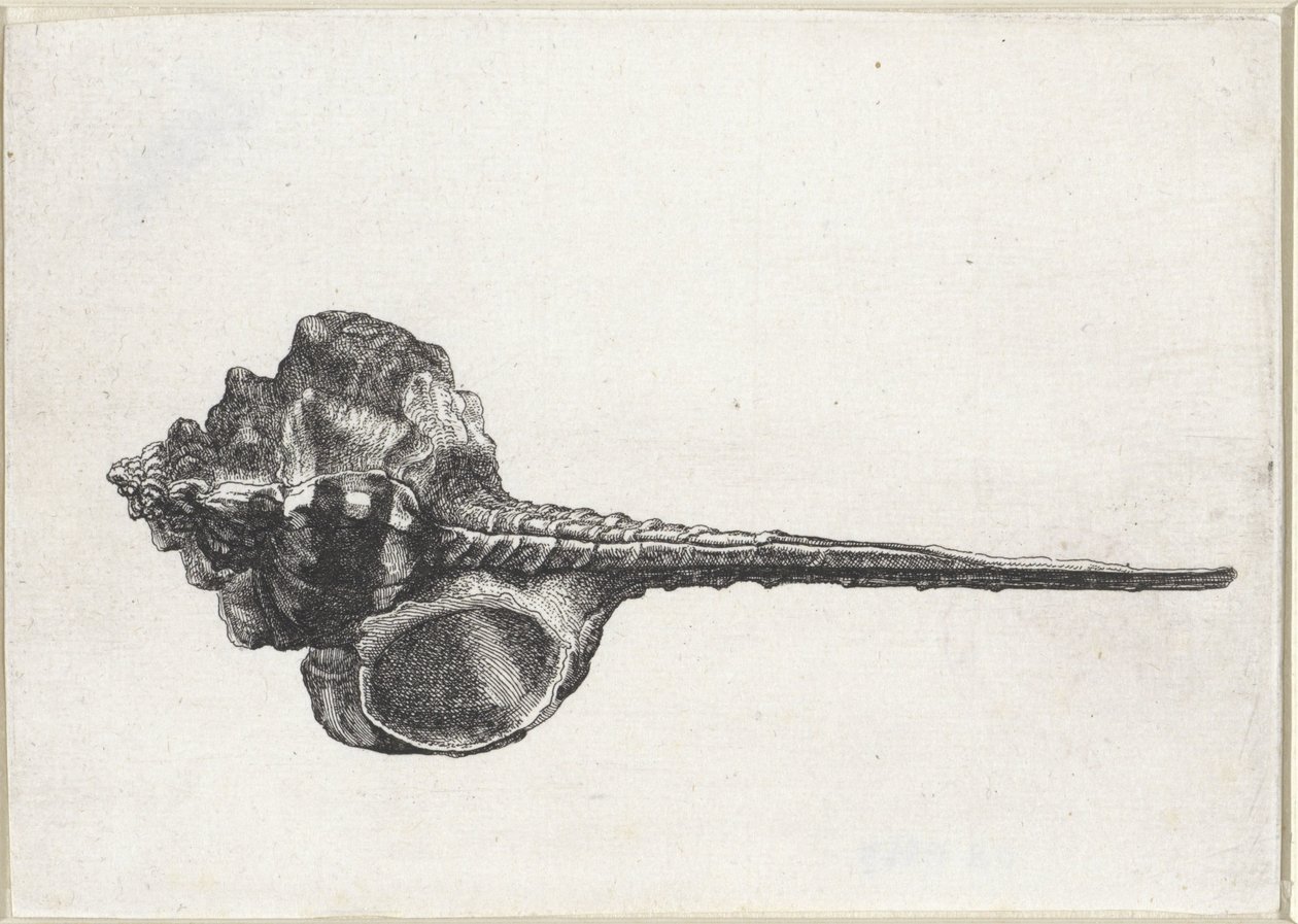  द्वारा Wenceslaus Hollar