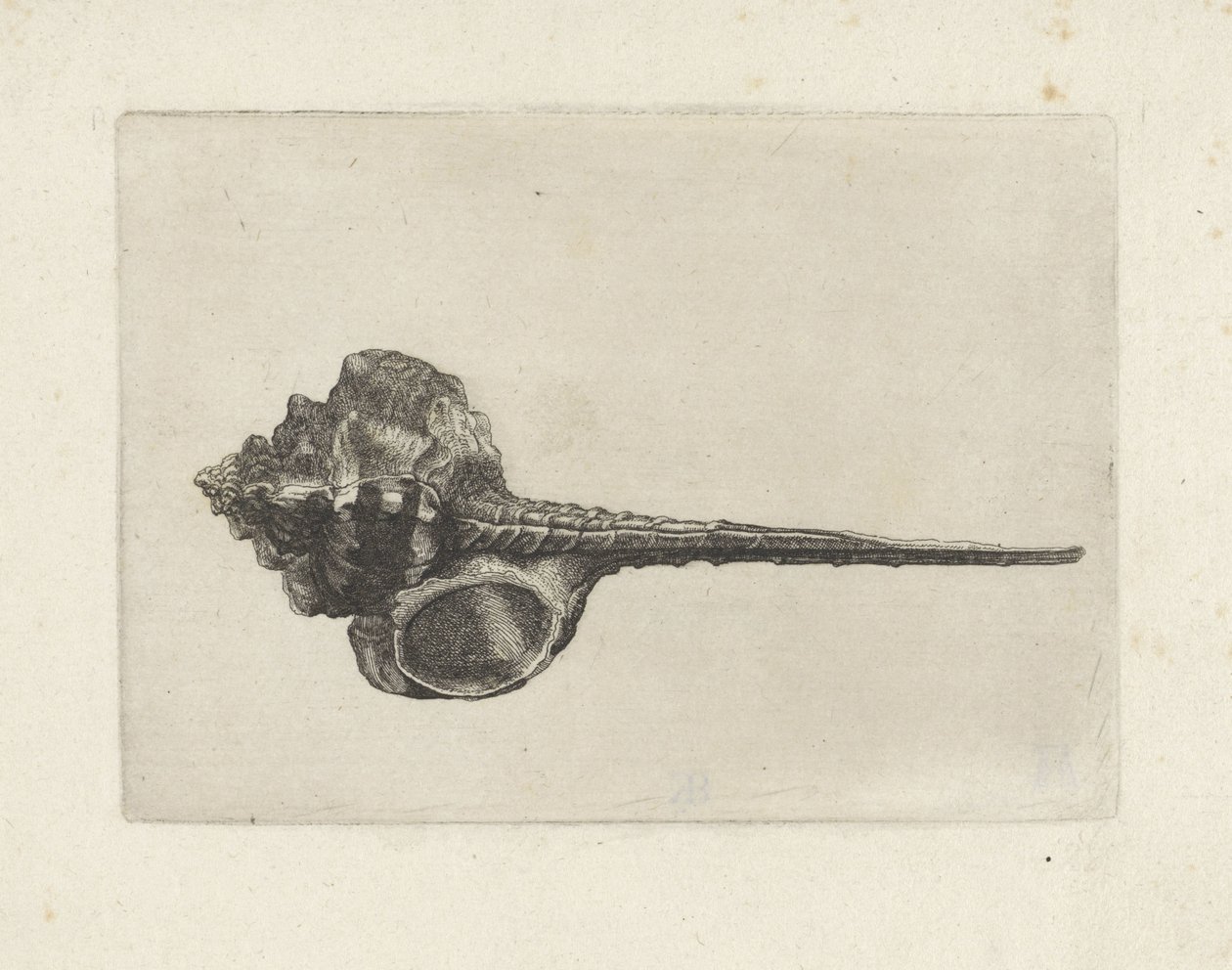  द्वारा Wenceslaus Hollar