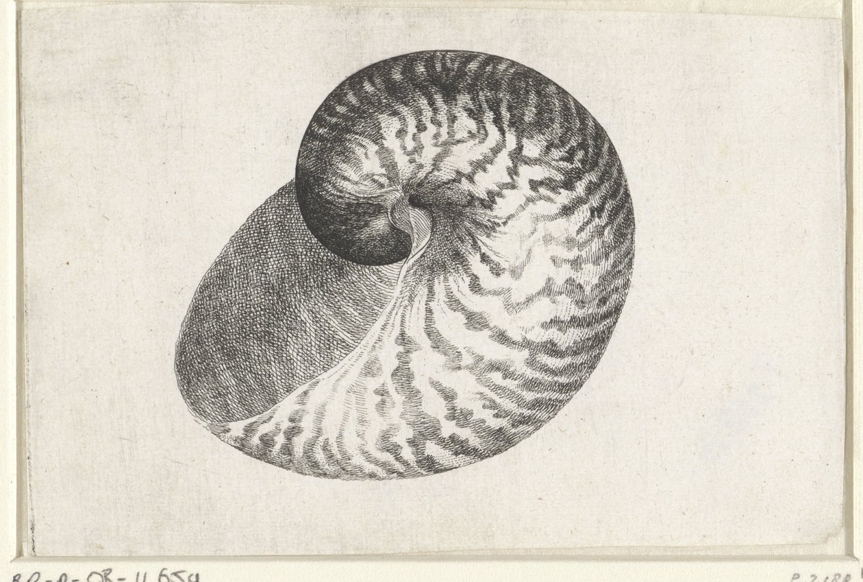  द्वारा Wenceslaus Hollar