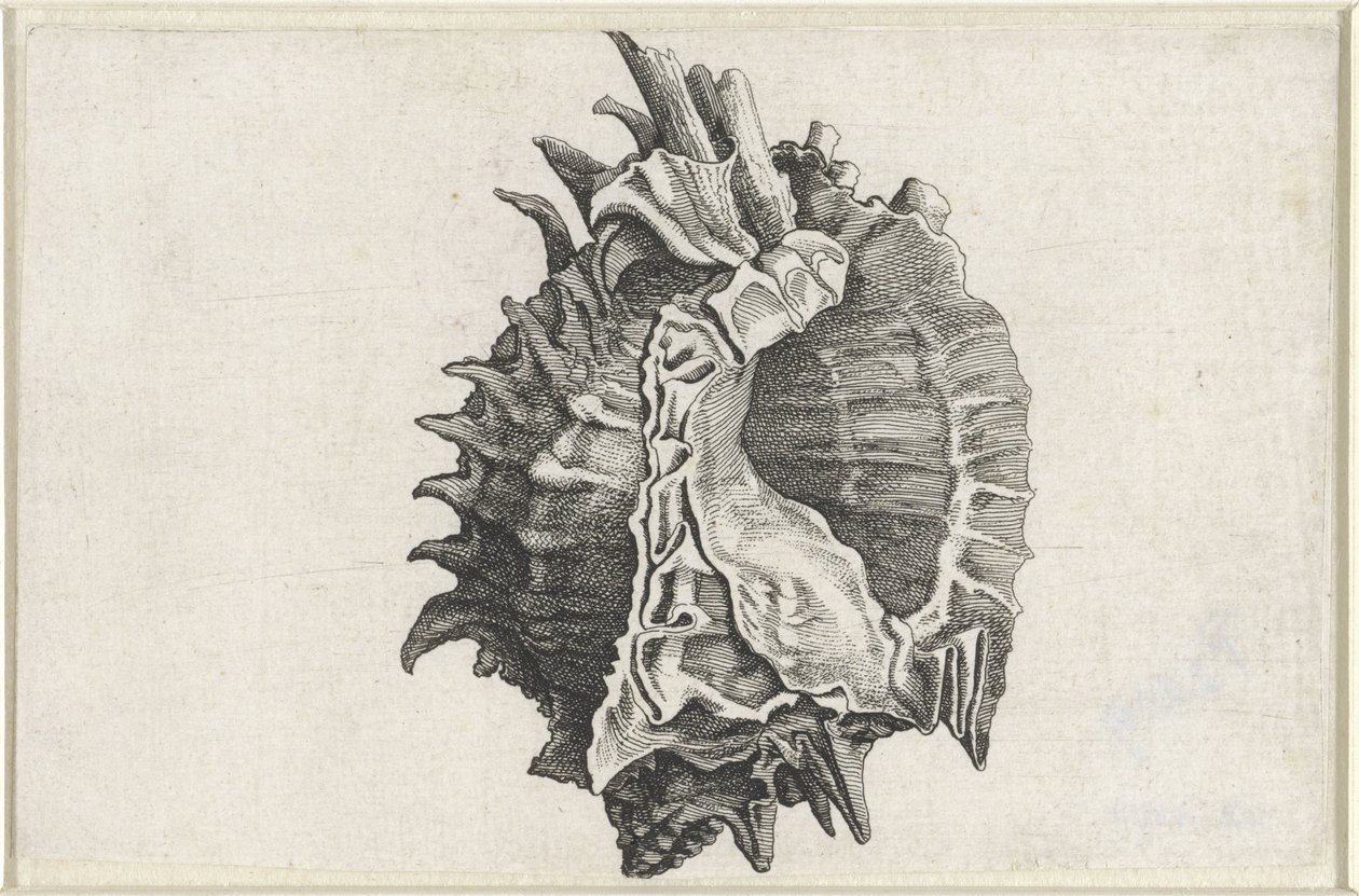  द्वारा Wenceslaus Hollar