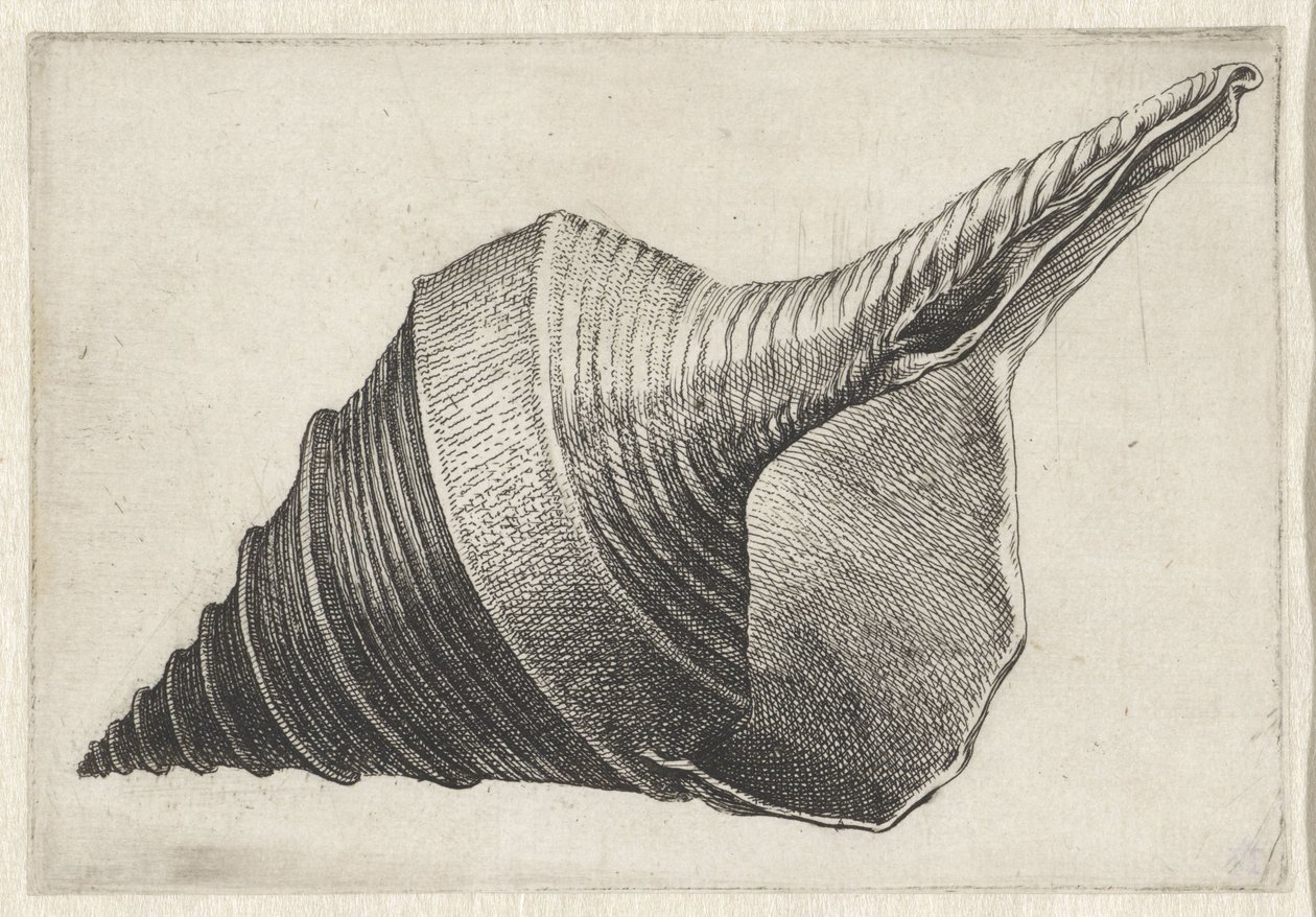  द्वारा Wenceslaus Hollar