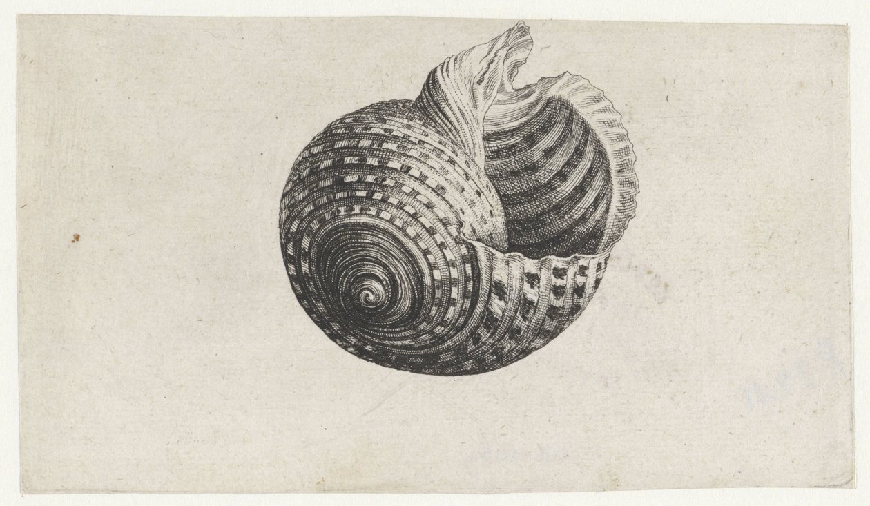  द्वारा Wenceslaus Hollar