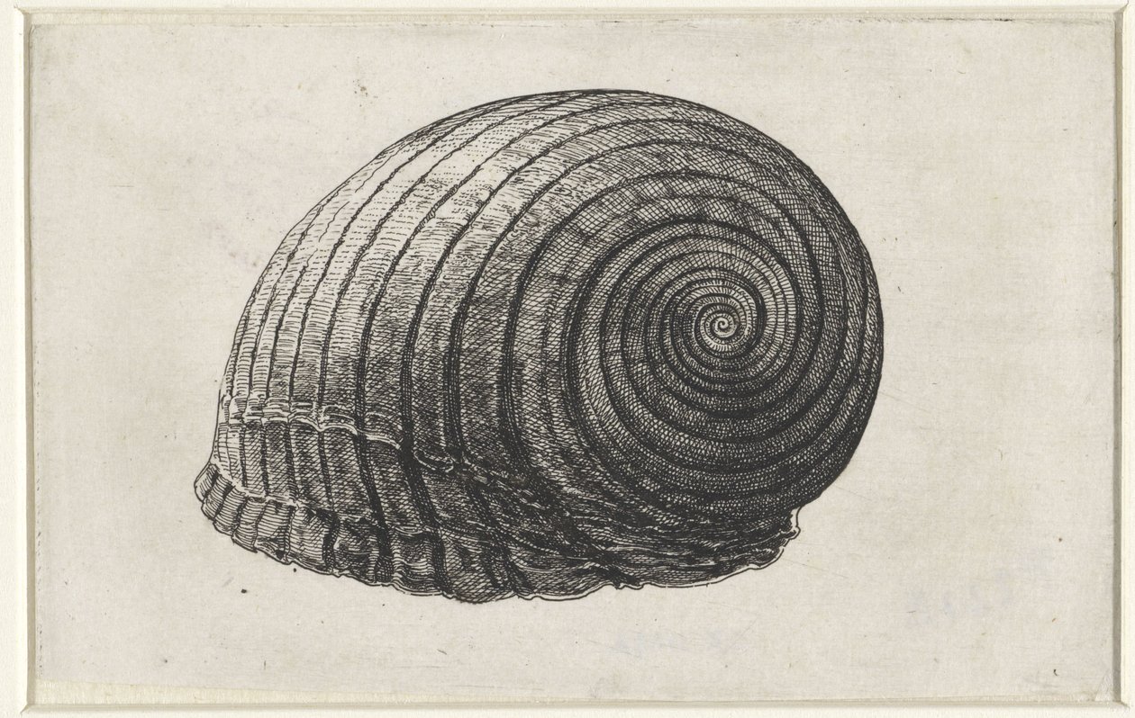  द्वारा Wenceslaus Hollar