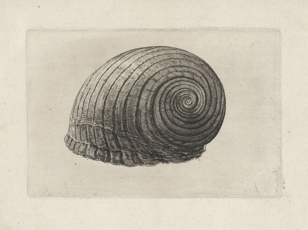  द्वारा Wenceslaus Hollar